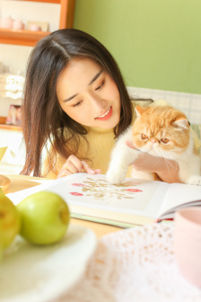 衣橱大冒险